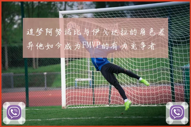 追梦阿努诺比与伊戈达拉的角色差异他如今成为FMVP的有力竞争者